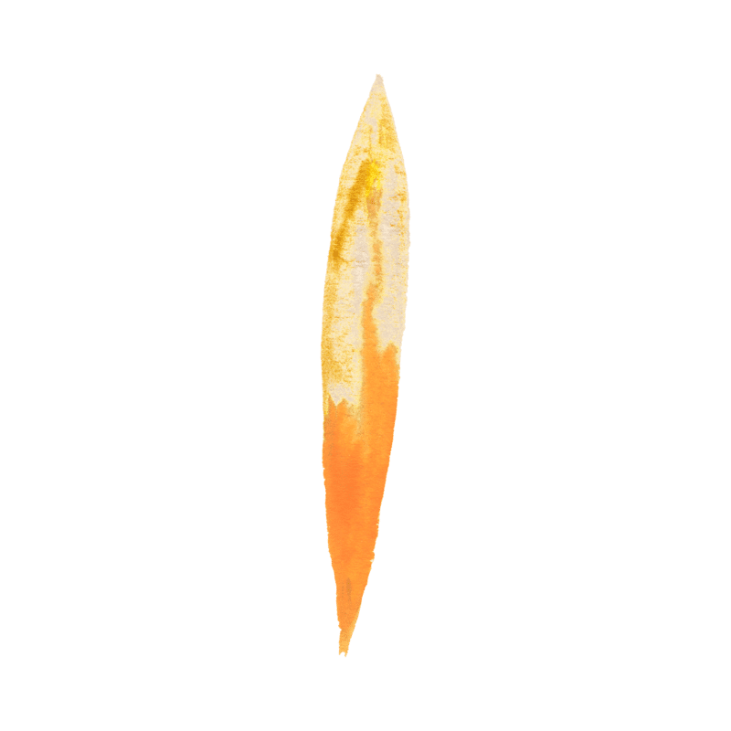 HF Leaf Orange 02