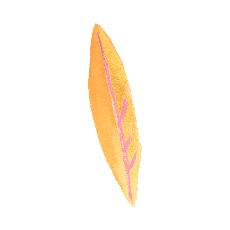 HF Leaf Orange 03