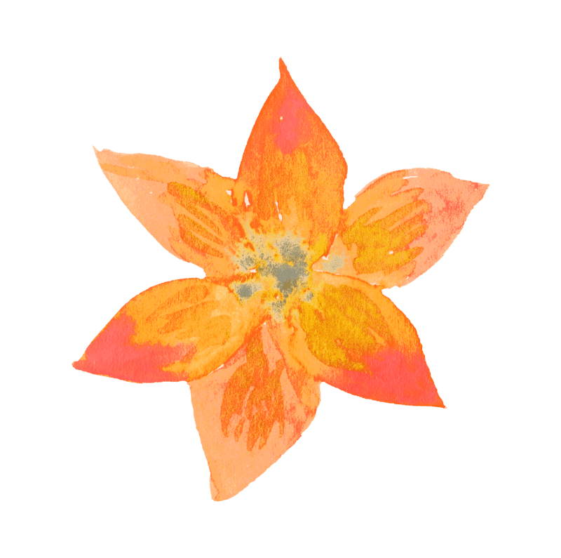 HF M1 Orange Flower