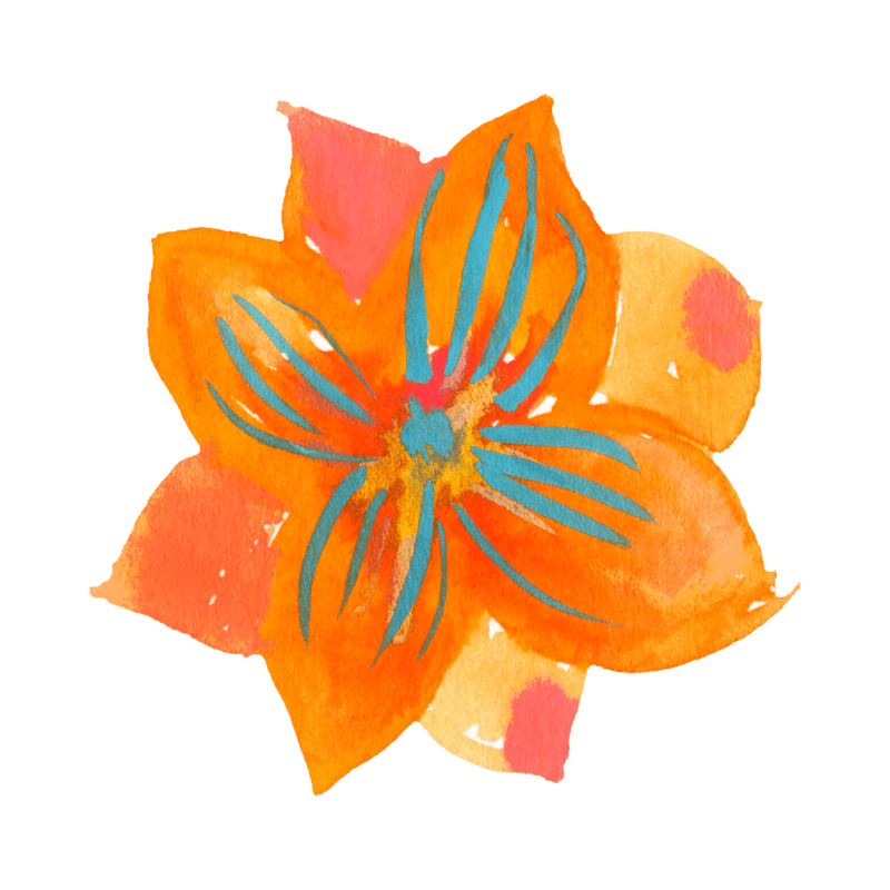 HF Orange Flower