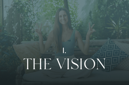 The Vision1