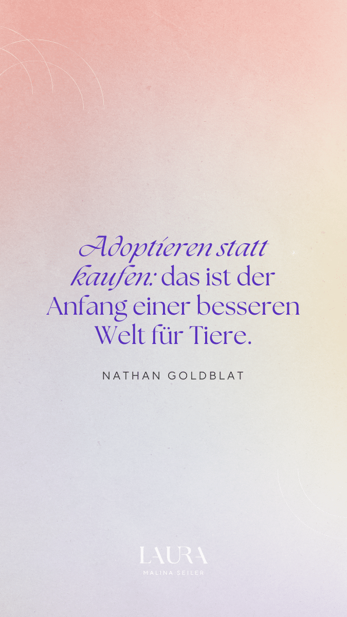 HHC_Pinterest_Quotes_520_08