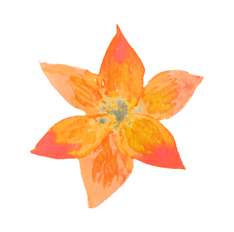 Property 1M1 Orange Flower