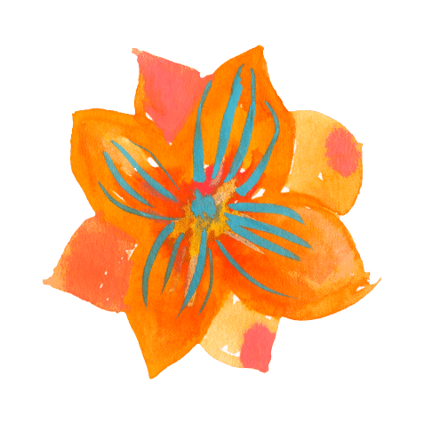 Property 1Orange Flower